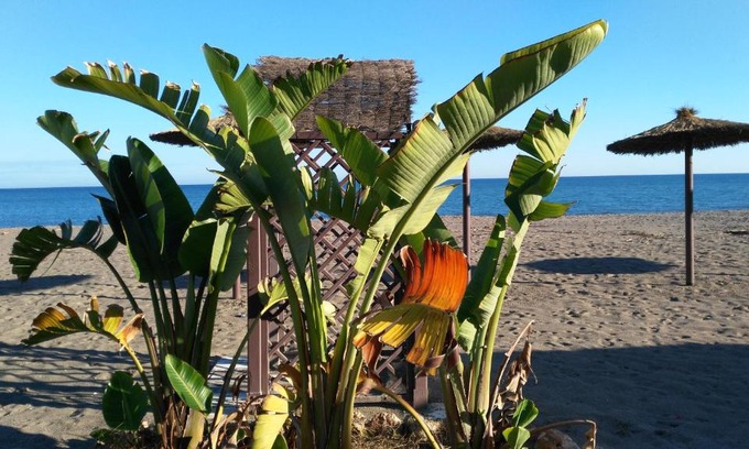 Carihuela Apartment | Aloha Paraíso