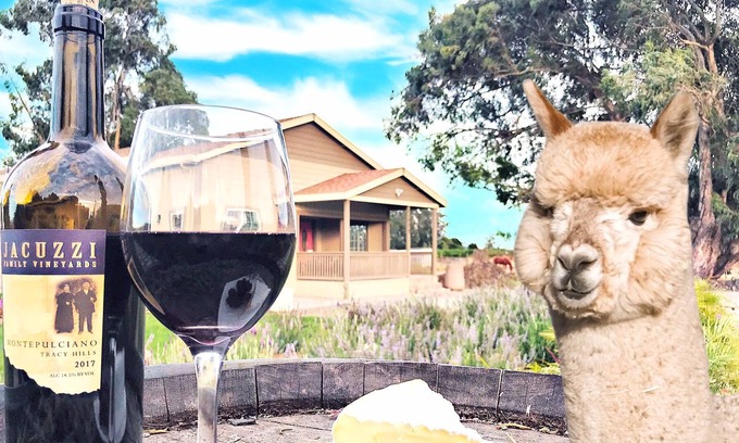 Sonoma House | Alpaca Farm, Sonoma Lavender Spa Tub & Wine Bliss