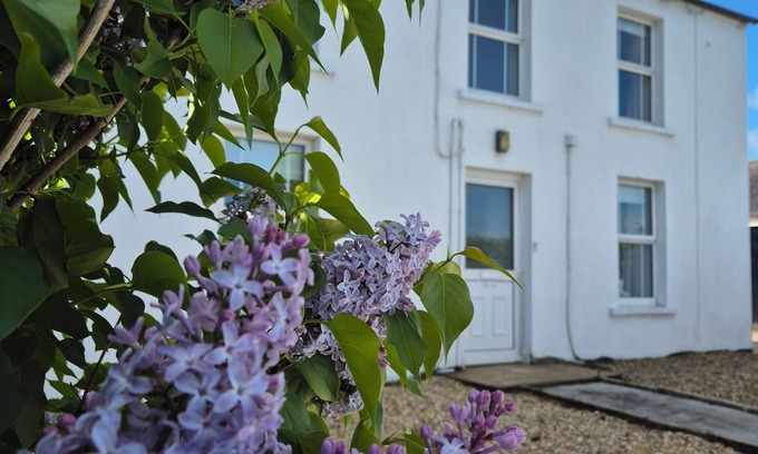 Dromore House | Alpaca Farmhouse with all weather private hot tub and alpaca experience included