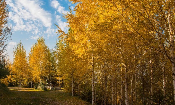 Alatau Hotel | Alpen Ville