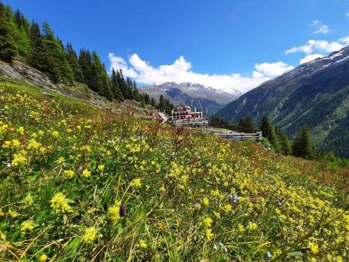 Soelden House | Alpengasthof Gaislach Alm