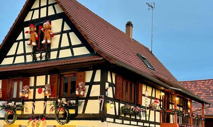 Hangenbieten Apartment | Alsace Gîte 3 * "Coeur de Cigogne" -15 minutes Strasbourg/Obernai