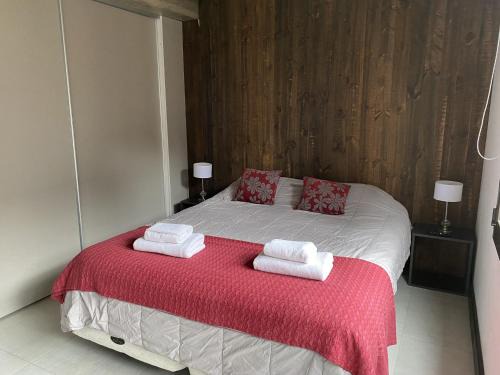 Lanin National Park Apartment | Aluen - Andarlibre