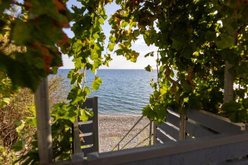 Plomari Apartment | Ammoudeli Apartments