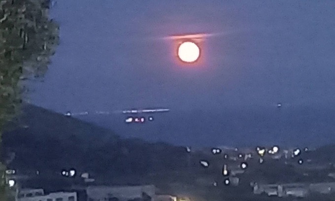 Itri House | Among the olive trees and surrounding hills with a sea view