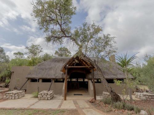 Hammanskraal Cabin | Amy's Camp at the Kevin Richardson Foundation