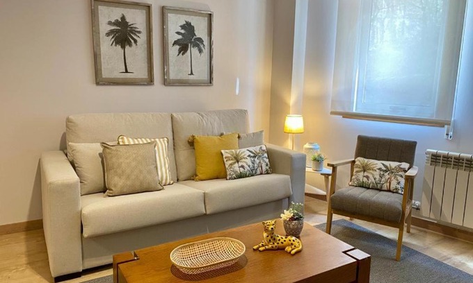 O Milladoiro Apartment | Andainas B