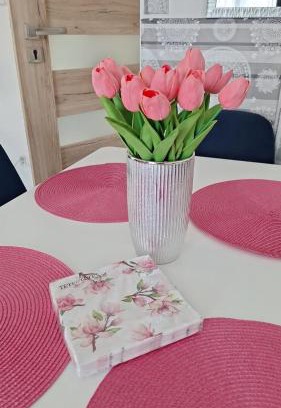 Szklarska Poreba Apartment | Apart 20