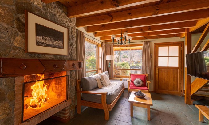 Lanin National Park Cabin | Apart Hotel Y Spa Naum. San Martin de los Andes, Centro