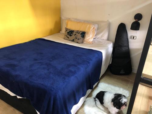 Ponta da Praia Apartment | Apart Ponta da Praia - Santos