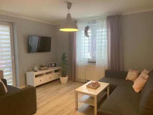Brzezinka Apartment | Apartament Antek klimatyzowany