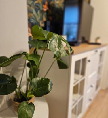 Inowroclaw Apartment | Apartament Boho