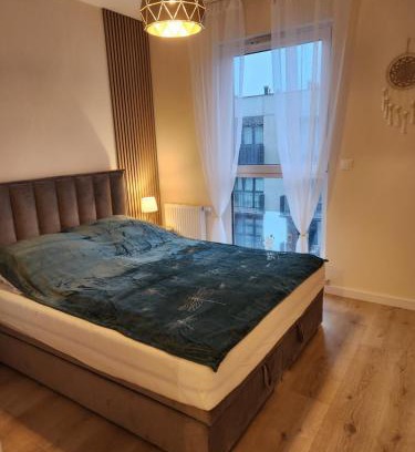 Bydgoszcz Apartment | Apartament Golden Dragonfly