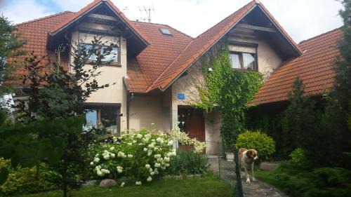 Gizycko Apartment | Apartament Leśna