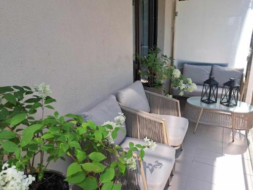 Krynica Morska Apartment | Apartament MIODOWY przy plaży