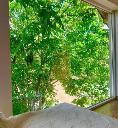 Piecki Apartment | Apartament orzechowy superior