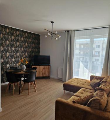 Grudziadz Apartment | Apartament Staromiejski Rapackiego 45