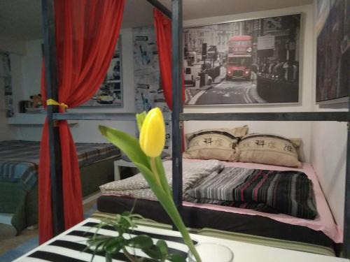 Plock Apartment | APARTAMENT W CENTRUM NOCLEGI PŁOCK