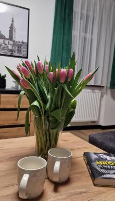 Klodzko Miasto Apartment | Apartament z duszą