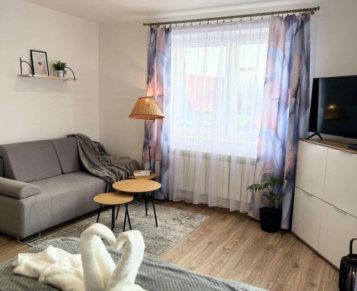 Tylicz Apartment | Apartamenty Kamata