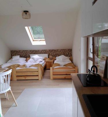 Wisla Apartment | Apartamenty u Joli