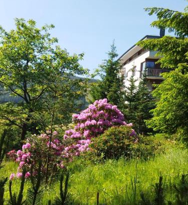 Spindleruv Mlyn Apartment | Apartmán 3K Michael