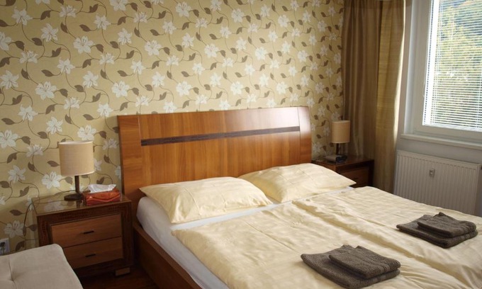 Karlovy Vary Apartment | Apartmán Drahovice