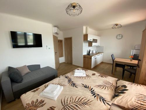 Nesvady Apartment | Apartmán Nezábudka