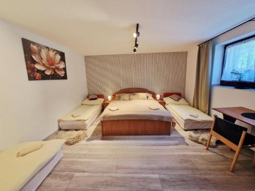 Terchova Apartment | Apartmán pri zmrzline
