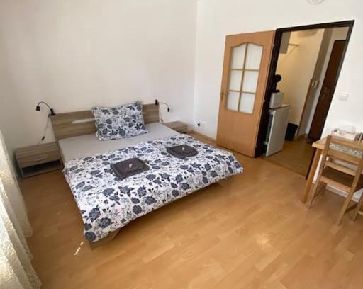 Brno-stred Apartment | Apartmán U Mendláku