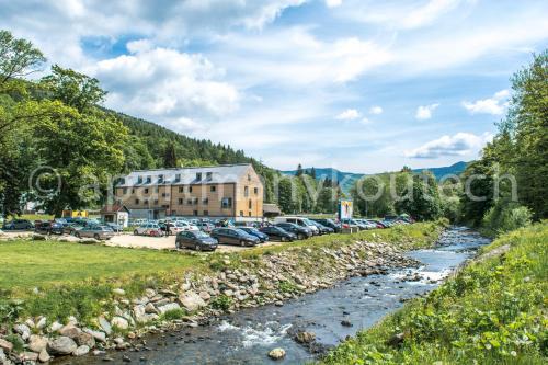 Loucna nad Desnou Apartment | Apartmán v Koutech