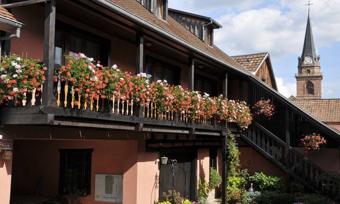 Bergheim Apartment | Apartment 2: Holiday apartment in a quiet private property