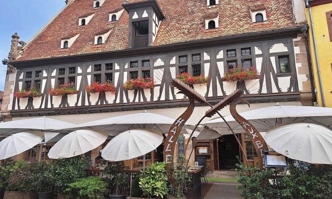 Obernai Apartment | Apartment 2 rooms Ground floor,garage,close to Spa and Historic Centre