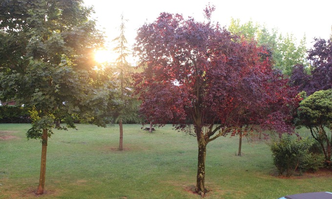 Cauderan Apartment | APARTMENT 5 PERSONS BORDEAUX OUEST special companies