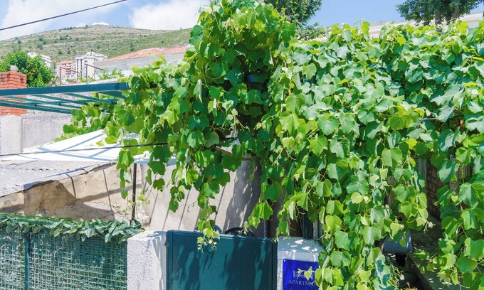 Gruz Apartment | Apartment Adea