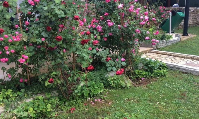 Stinjan Apartment | Apartment for 2 people and 2 children