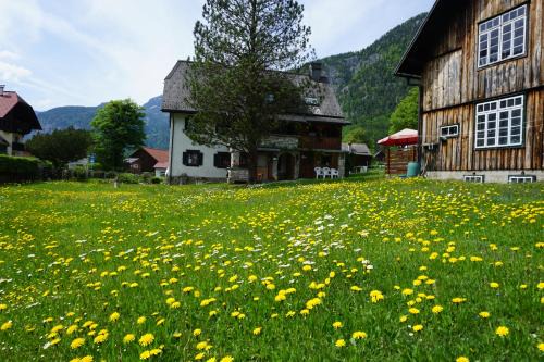 Obertraun Apartment | Apartment Haider 1