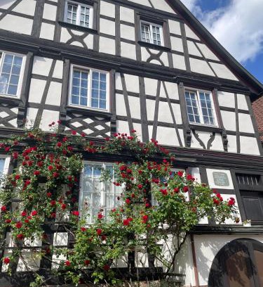 Gengenbach Apartment | Apartment im Scheffelhaus
