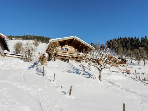 Viehhofen Apartment | Apartment in Viehhofen near Ski Lifts