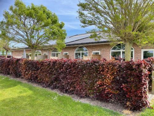 Groede Apartment | Apartment in Groede near the Beach