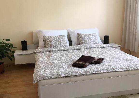 Drzovice Apartment | Apartment In The Garden