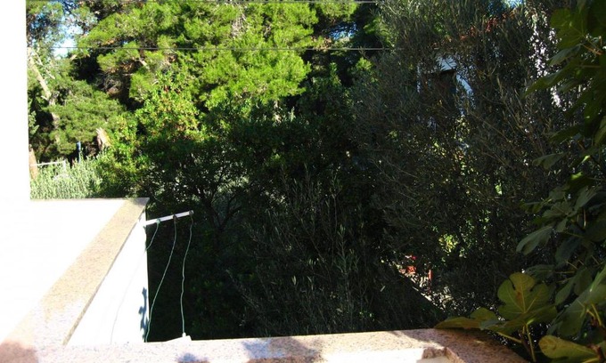 Zadar Apartment | Apartment Ljuba - large terrace