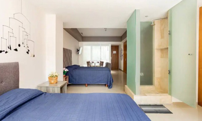 Polanco Apartment | Apartment