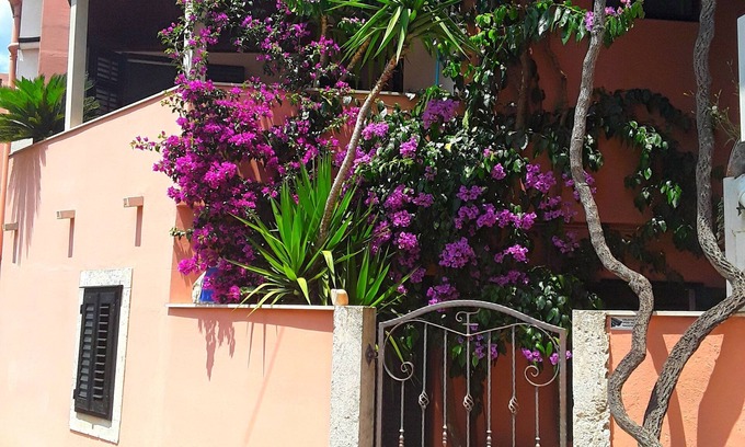 Hodilje Apartment | Apartment Nina & Kate - Comfort One Bedroom Apartment with Terrace and Sea View