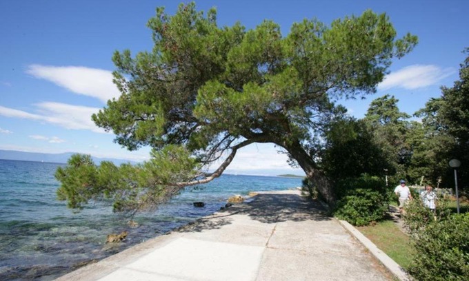 Bogovici Apartment | Apartment Novo Marija