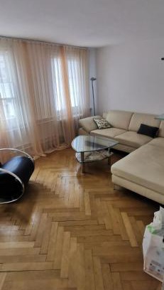 Meilen District Apartment | Apartment on 2 floors