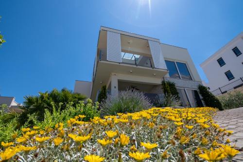 Susica Apartment | Apartment Summer dreams 2