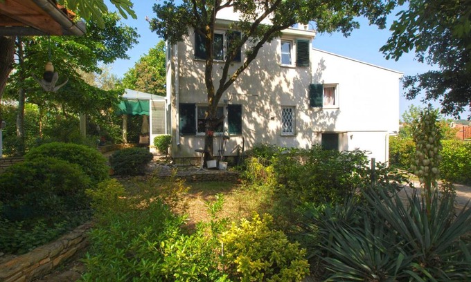 Pjescana Uvala Apartment | Apartment Tea 1651