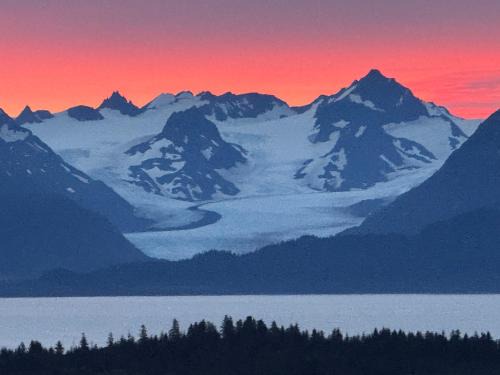 Homer Apartment | Apartment, walkout basement, Central Homer, Views!