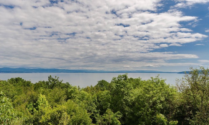 Medveja Apartment | Apartment ZORKA (27521-A1) - Medveja